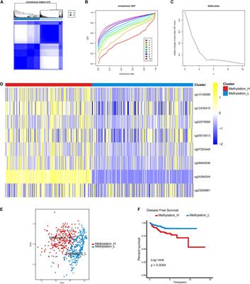 Establishment of Novel DNA Methylation-Based Prostate Cancer Subtypes and a Risk-Predicting Eight-Gene Signature